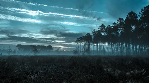 панорама, природа, вечер, туман, поле, лес, голубой, черный, голубые, черные